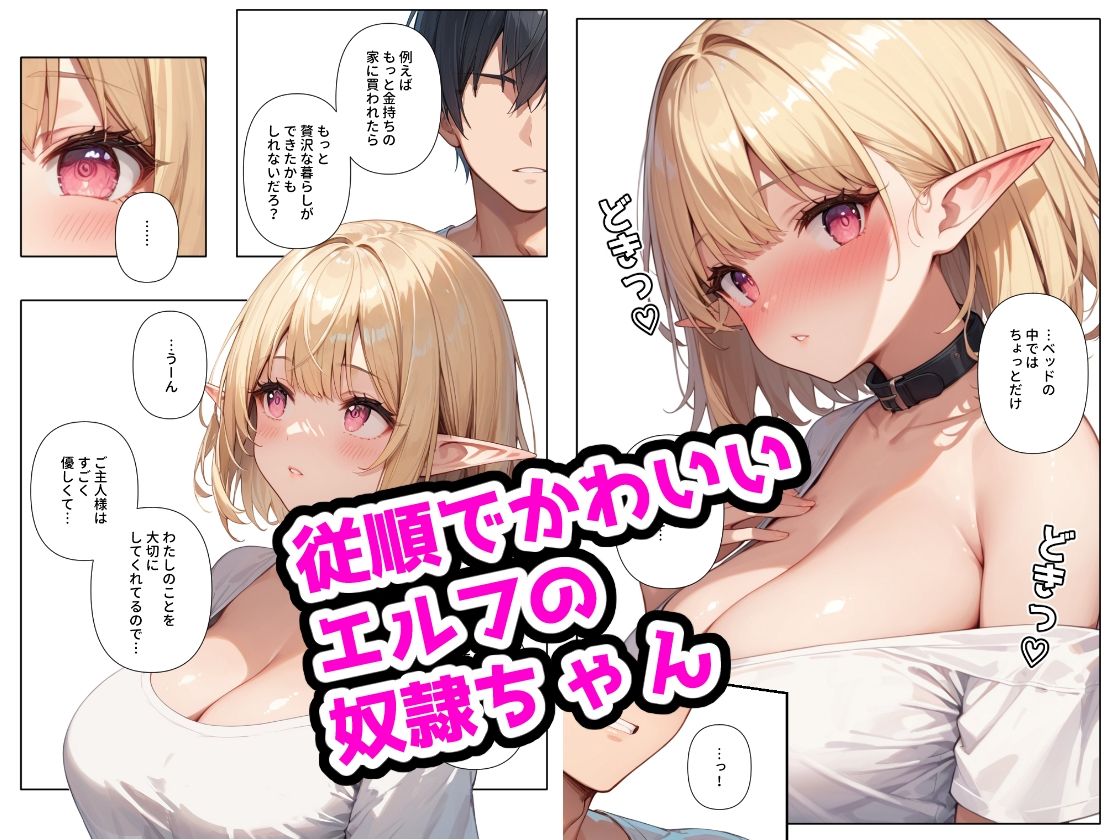 愛しの奴●ちゃん 〜巨乳エルフ編〜